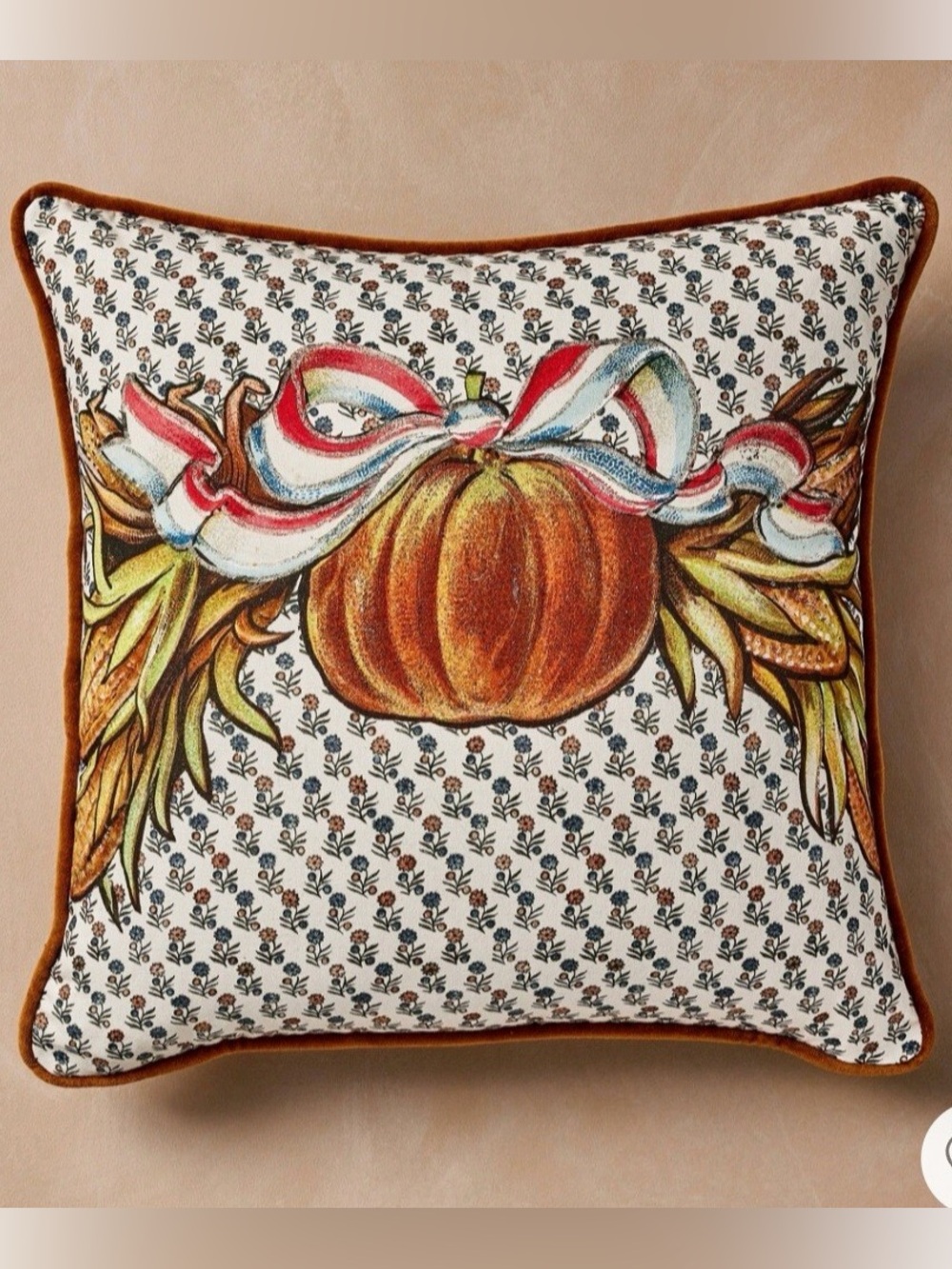 John Derian x Target fall pumpkin pillow
